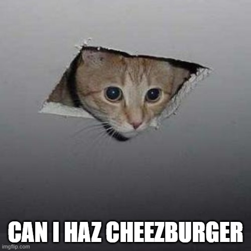 canihaz